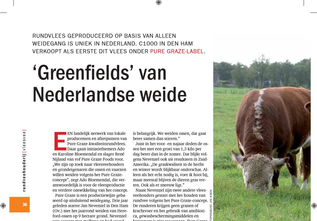 Green fields - van Nederlandse weide 