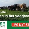 Cursus: Weiden in het voorjaar