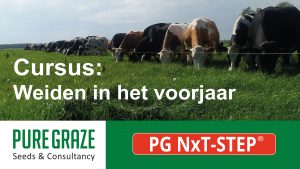 Cursus: Weiden in het voorjaar