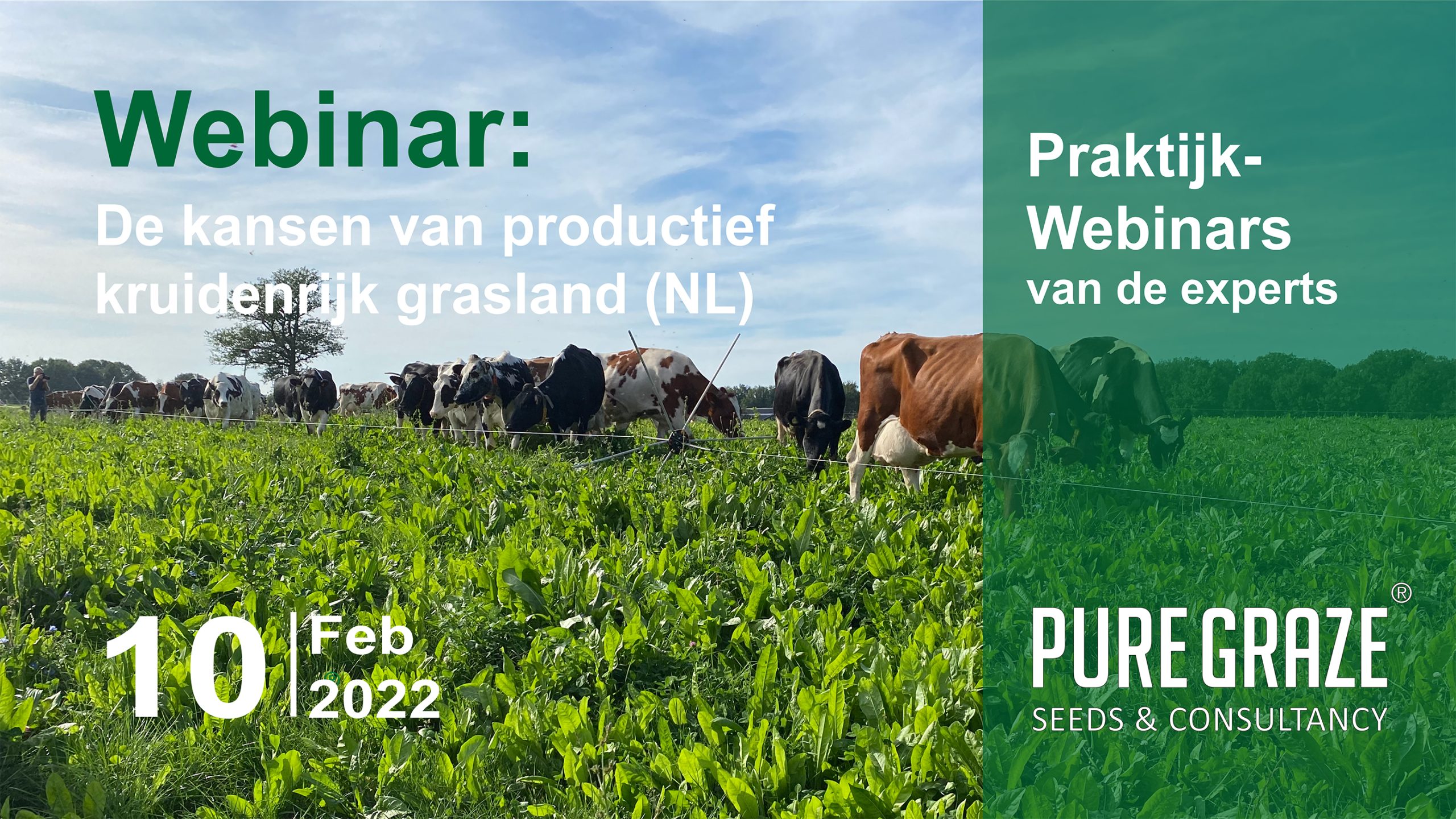 De kansen van productief kruidenrijk grasland (NL)