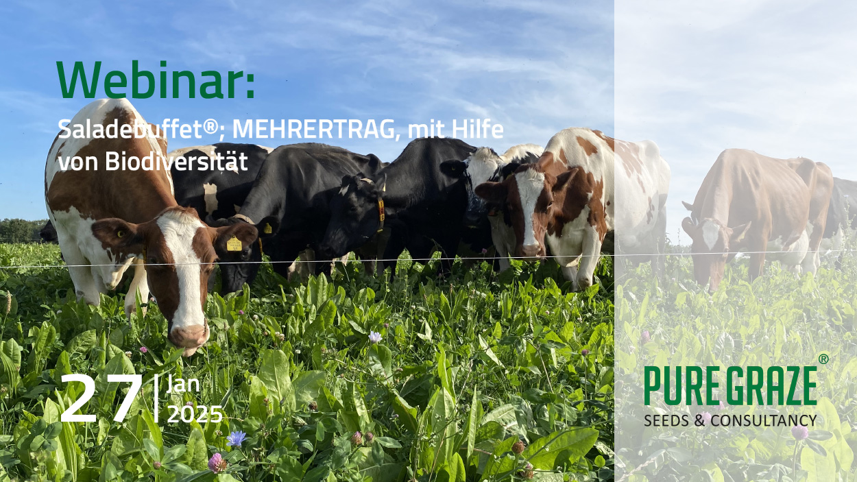 Webinar: Saladebuffet; MEHRERTRAG, mit Hilfe von Biodiversität