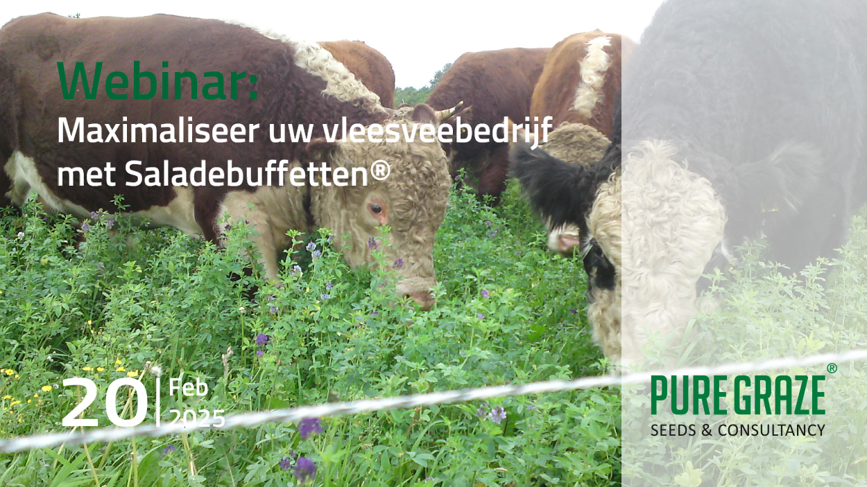 Maximaliseer uw vleesvee-bedrijf met Saladebuffet®