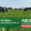 Formation en ligne ; Gestion des prairies riches en herbes