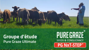 Groupe d'étude ; Pure Graze - Ultimate