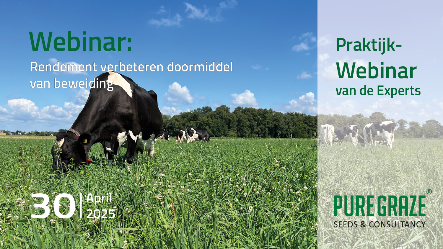 Rendement verbeteren doormiddel van beweiding