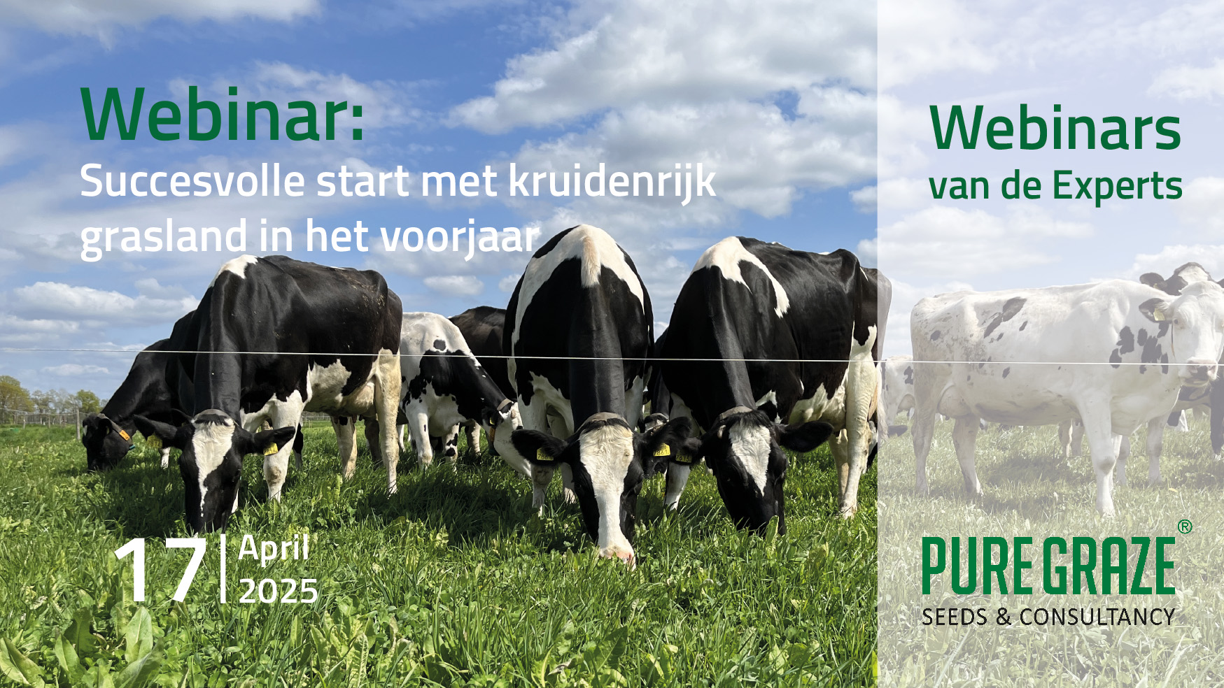 Succesvolle start met kruidenrijk grasland, zaaien in het voorjaar